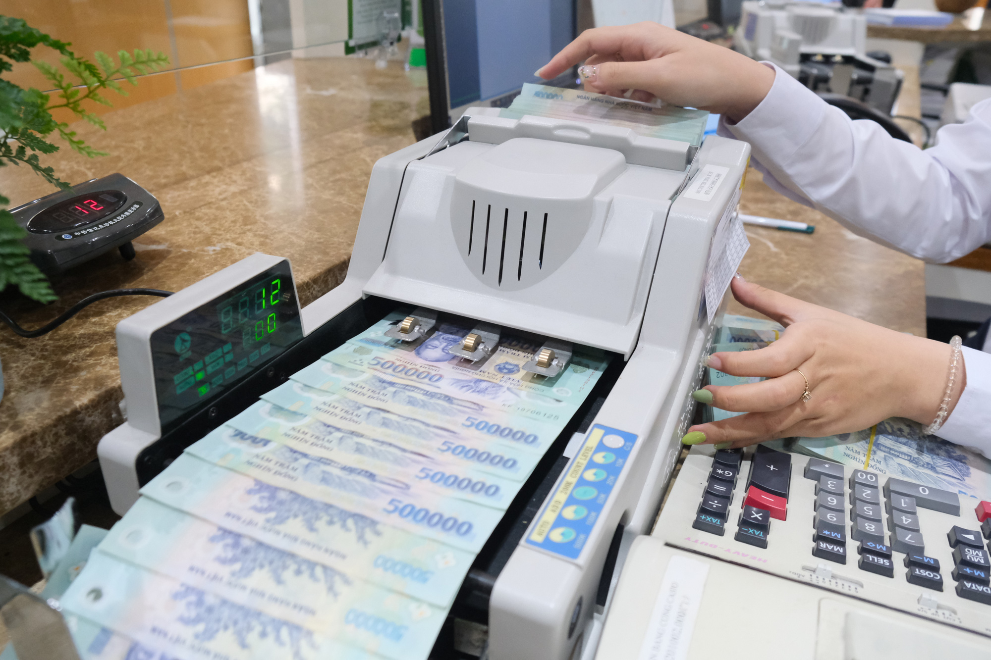 Vietnam’s individual deposits at banks surge to new record high despite interest rate cut